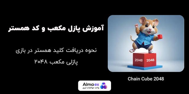 آموزش بازی معکب و کسب کلید همستر کامبت