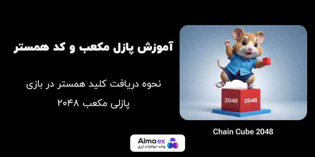 آموزش بازی معکب و کسب کلید همستر کامبت